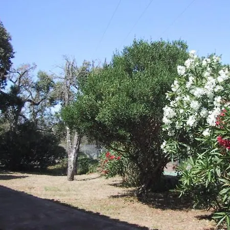 Locations A Suara Apartamento *